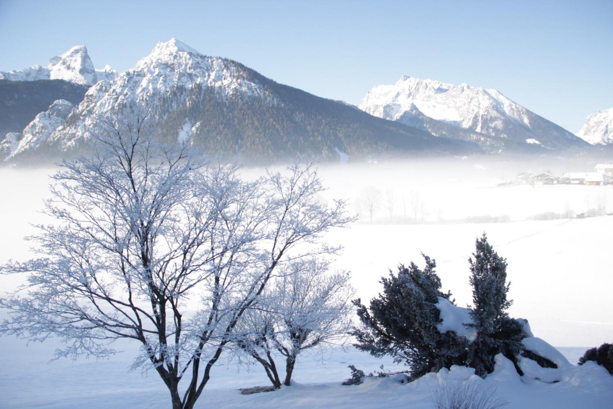 Obergoebllehen Διαμέρισμα Schönau am Königssee Εξωτερικό φωτογραφία